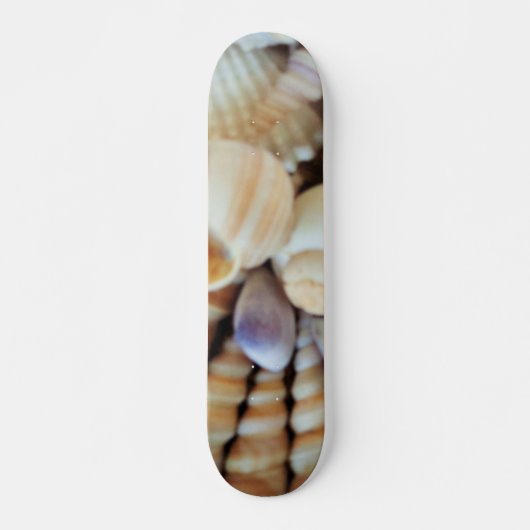 Sea Shells Summer Beach Exotic Tropical Skateboard (Devant)