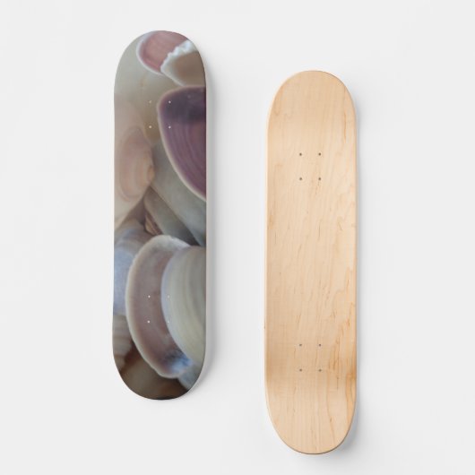 Sea Shells Summer Beach Exotic Tropical Skateboard (Recto)