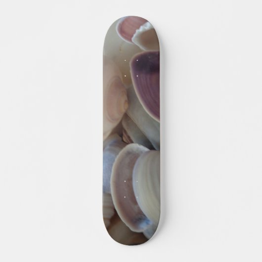 Sea Shells Summer Beach Exotic Tropical Skateboard (Devant)