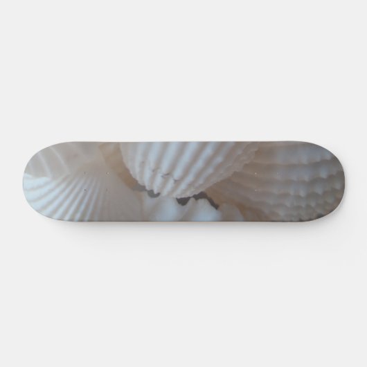 Sea Shells Summer Beach Exotic Tropical Skateboard (Horz)