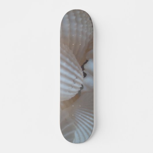 Sea Shells Summer Beach Exotic Tropical Skateboard (Devant)