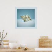 Sea Snail - affiche (Cuisine)