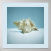 Sea Snail - affiche (Devant)