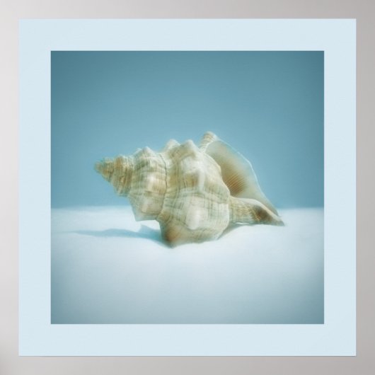 Sea Snail - affiche (Devant)