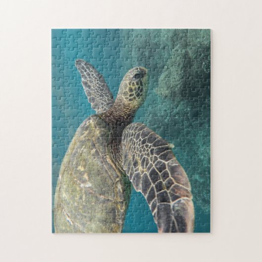 Sea Turtle Puzzle (Vertical)