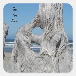 Sea You Soon stickers Strand Oceaan Drijfhout Golv