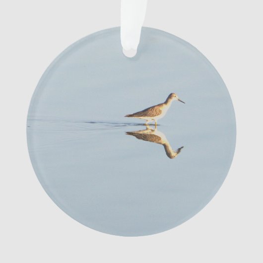 Seabird Reflection Photo Ornament (voorkant)