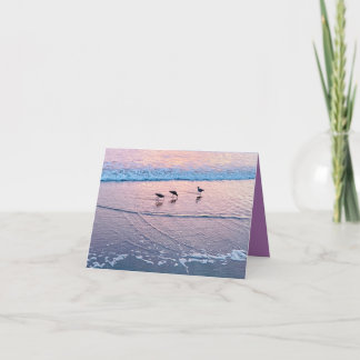 Seabirds at Twilight Kaart