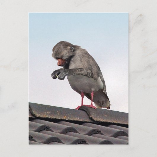 Seaboon Briefkaart (Voorkant)