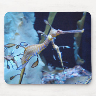 SeaDragon Muismat