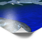 Seafant Foto Afdruk (Hoek)