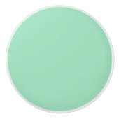 Seafoam Green Solid Color Keramische Knop (Voorkant)