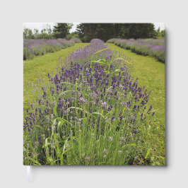 Seafoam Lavender Boerderij Gastenboek