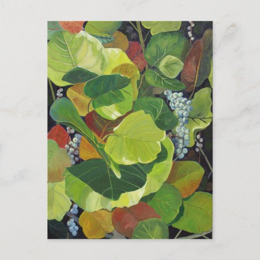 Seagraap Briefkaart (Voorkant)