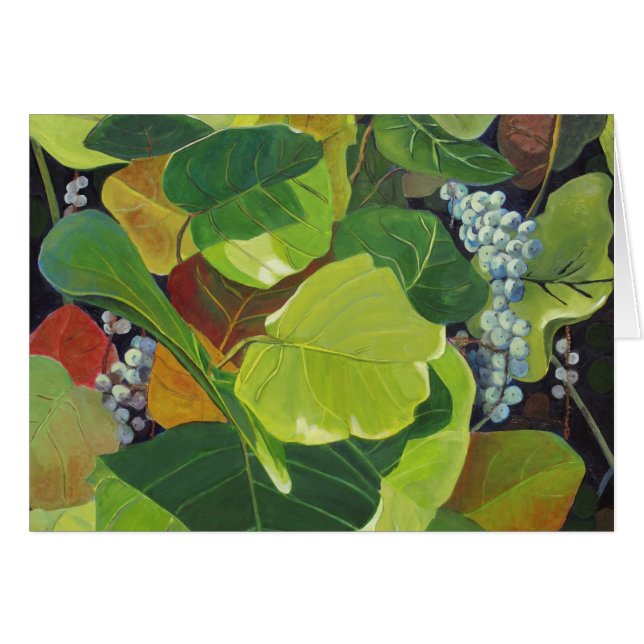 Seagrape (Devant horizontal)