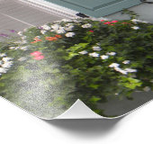 Seagreen shutters foto afdruk (Hoek)