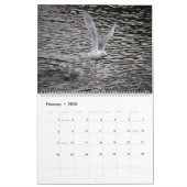 Seaguleren Kalender (Feb 2026)