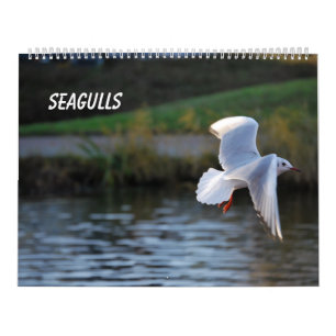 Seaguleren Kalender