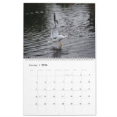 Seaguleren Kalender (Jan 2026)