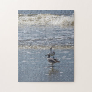Seaguleren Legpuzzel
