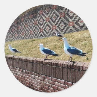 Seaguleren Ronde Sticker