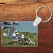 Seaguleren Sleutelhanger (Voorkant)