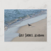 Seagull Beach Travel Briefkaart (Voorkant)