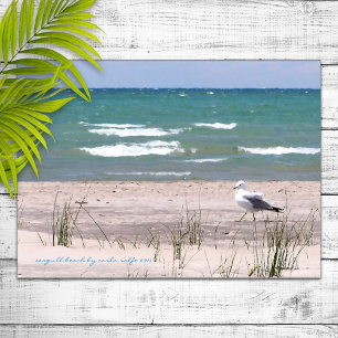Seagull Beach Waterverf Print