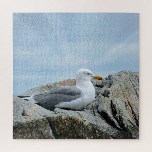 Seagull bij de kust legpuzzel