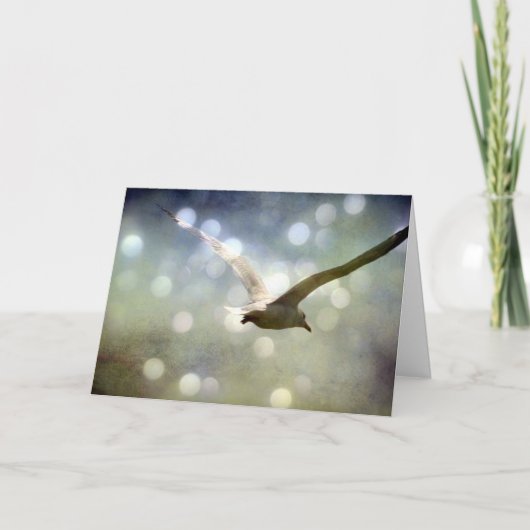 Seagull Birthday Kaart (Voorkant)