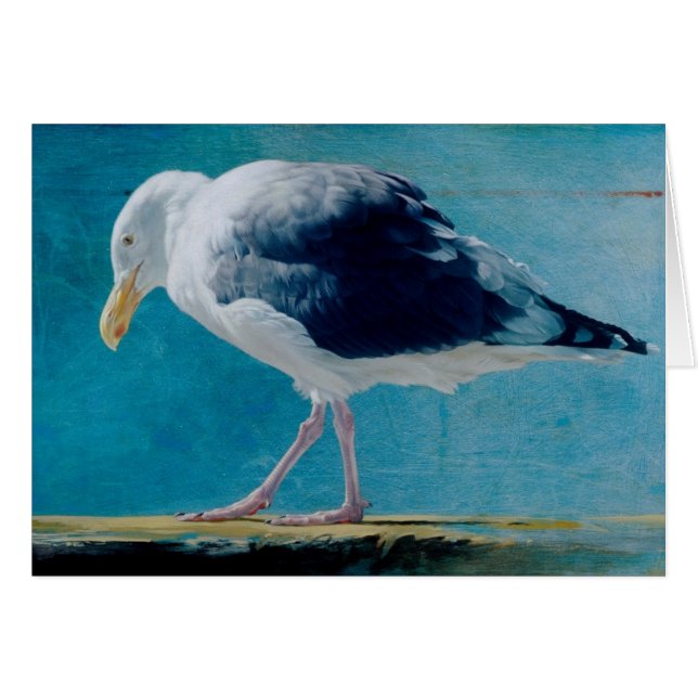 Seagull Blank Card van Andrew Denman (Voorkant Horizontaal)
