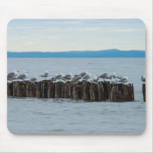 Seagull Breaktime Muismat