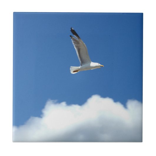 Seagull Ceramic Tegel Tegeltje (Voorkant)