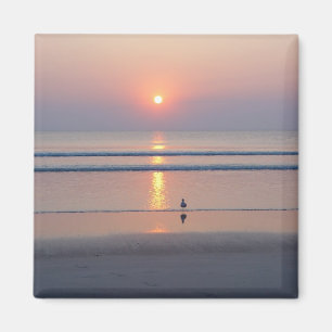 Seagull Daytona Beach FL Ocean Sunrise Magnet Magneet