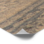 Seagull debout en solo sur Hampton Beach Poster (Coin)