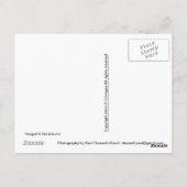 Seagull & Deckchairs Briefkaart (Achterkant)