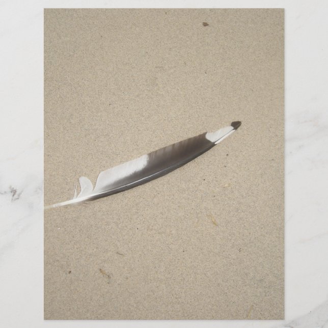 Seagull Feather (Voorkant)