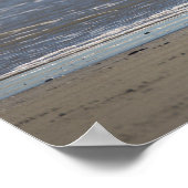 Seagull Flying Photo Poster (Coin)