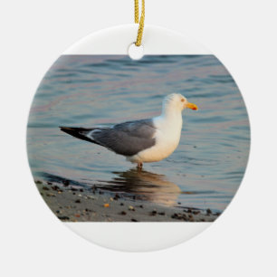 Seagull Foto Keramisch Ornament