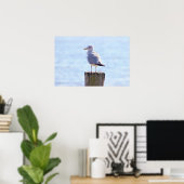 Seagull Foto Poster (Thuiskantoor)