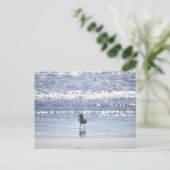 Seagull in Ocean Postcard Briefkaart (Staand voorkant)