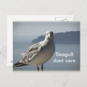 Seagull kan briefkaart niet schelen (Voorkant / Achterkant)