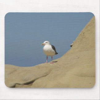 Seagull, La Jolla, Californië Muismat