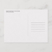 Seagull, Lake Ontario, Toronto, Canada Briefkaart (Achterkant)