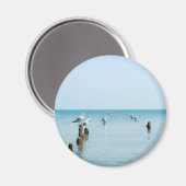 SEAGULL MAGNET (Recto/Verso)