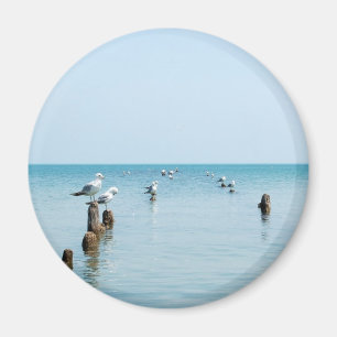 SEAGULL MAGNET