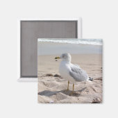 Seagull Magnet Magneet (Voorkant / Achterkant)