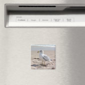 Seagull Magnet Magneet (Insitu (Vaatwasser))