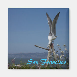Seagull Magnet Magneet