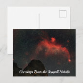 Seagull Nebula Postcard Briefkaart (Voorkant / Achterkant)